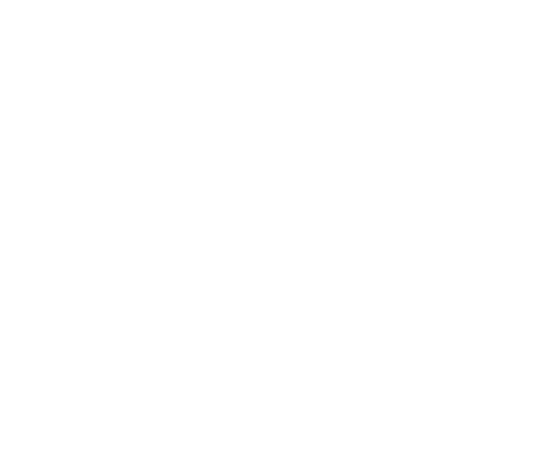 GLOBAL SCHOLARS & TRAVEL SOLUTIONS LIMITED